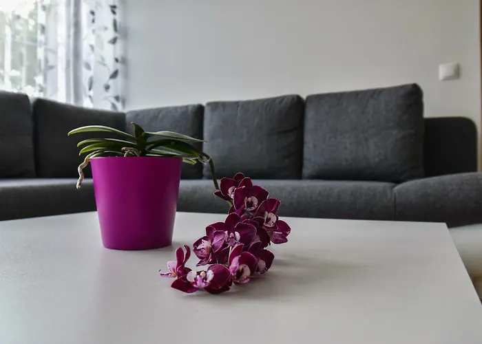 Mardi Downtown Apartmán *